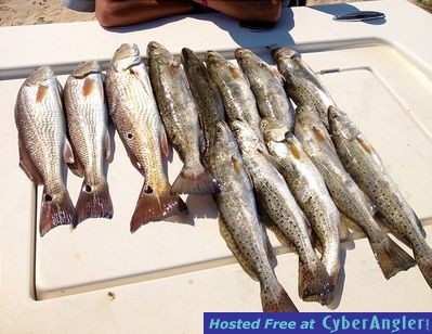 Click to Enlarge Photo