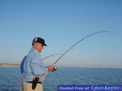 Click to Enlarge Photo