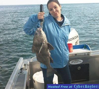 Click to Enlarge Photo