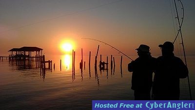 Click to Enlarge Photo