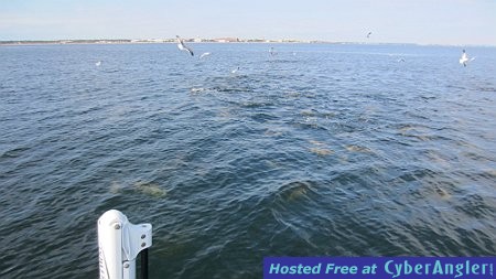 Click to Enlarge Photo