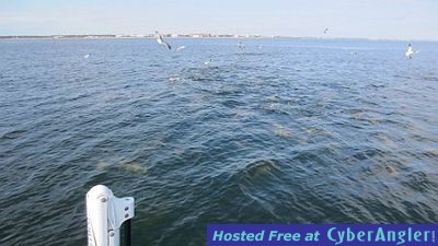 Click to Enlarge Photo