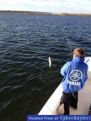 Click to Enlarge Photo