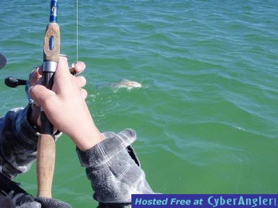 Click to Enlarge Photo