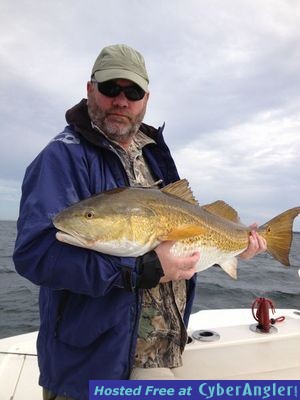 Click to Enlarge Photo