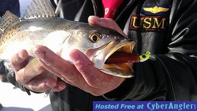 Click to Enlarge Photo