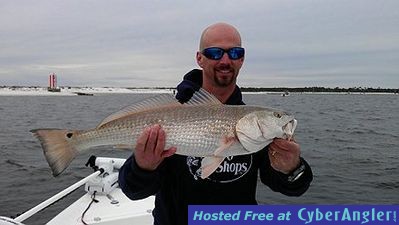 Click to Enlarge Photo