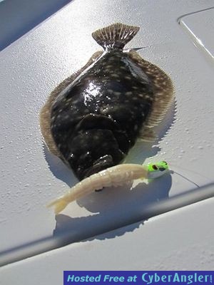 Click to Enlarge Photo