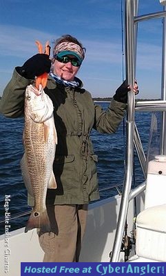 Click to Enlarge Photo