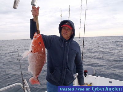 Click to Enlarge Photo