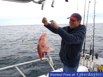 Click to Enlarge Photo