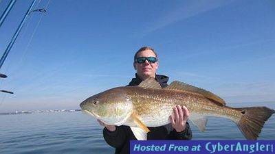 Click to Enlarge Photo