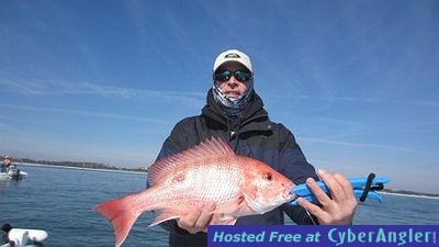 Click to Enlarge Photo