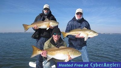 Click to Enlarge Photo