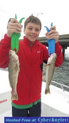 Click to Enlarge Photo