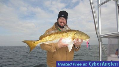 Click to Enlarge Photo