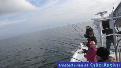 Click to Enlarge Photo