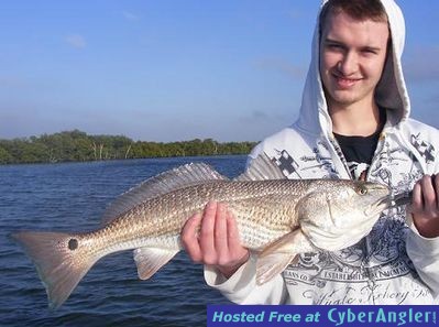 Click to Enlarge Photo