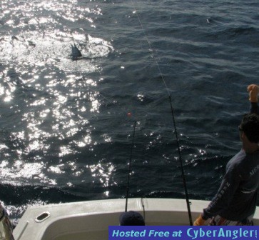 Click to Enlarge Photo