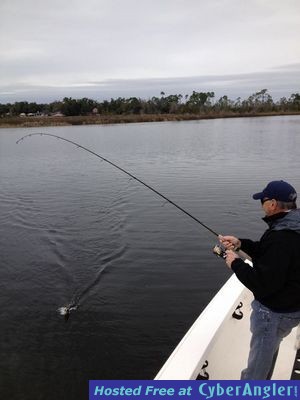 Click to Enlarge Photo