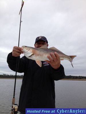 Click to Enlarge Photo