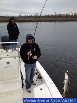 Click to Enlarge Photo