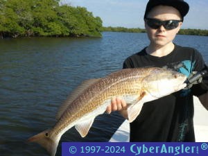 Click to Enlarge Photo