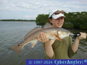 Click to Enlarge Photo