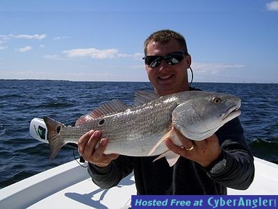 Click to Enlarge Photo