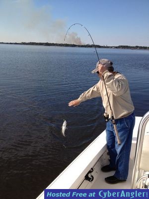 Click to Enlarge Photo