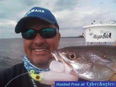 Click to Enlarge Photo