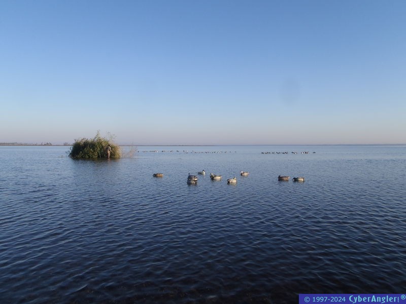 Click to Enlarge Photo