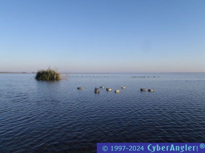 Click to Enlarge Photo