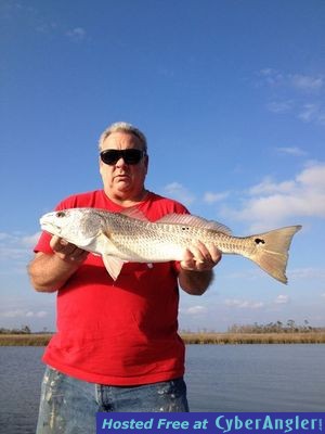 Click to Enlarge Photo