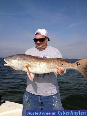 Click to Enlarge Photo