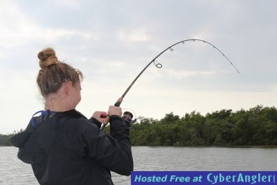 Click to Enlarge Photo