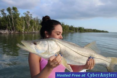 Click to Enlarge Photo