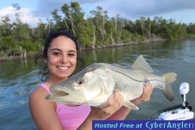 Click to Enlarge Photo