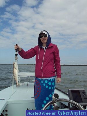 Click to Enlarge Photo