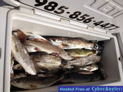 Click to Enlarge Photo