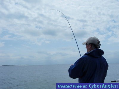 Click to Enlarge Photo