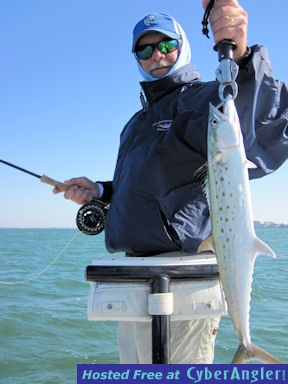 Click to Enlarge Photo