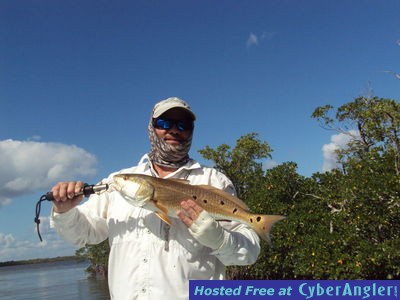 Click to Enlarge Photo