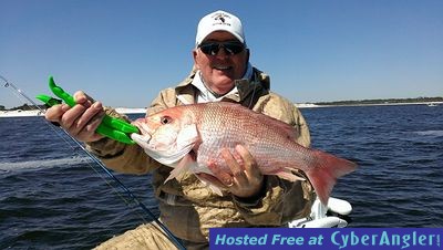 Click to Enlarge Photo