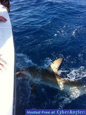 Click to Enlarge Photo