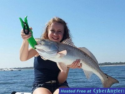 Click to Enlarge Photo