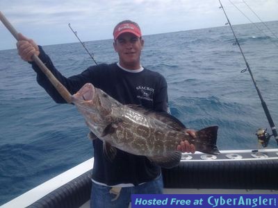 Click to Enlarge Photo