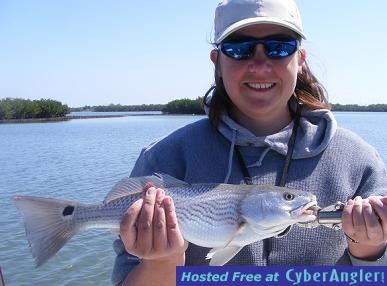 Click to Enlarge Photo