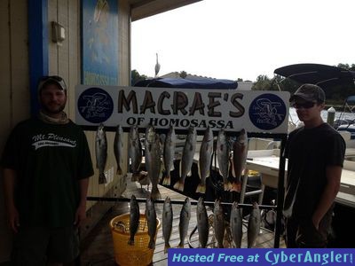 Click to Enlarge Photo