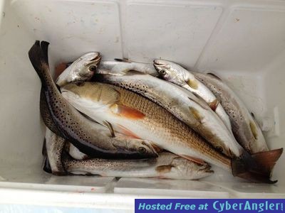 Click to Enlarge Photo